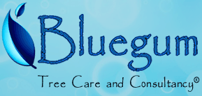 Bluegum Tree Care and Consultancy